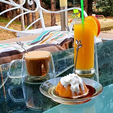 дани Hotel Sandanski