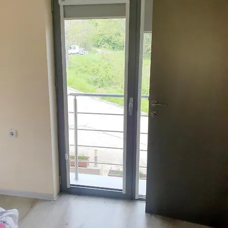 Ξενοδοχείο дани