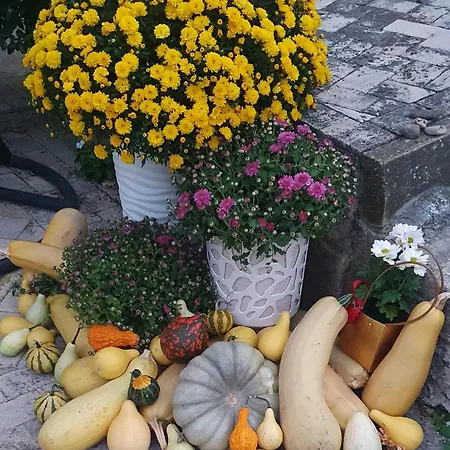 дани