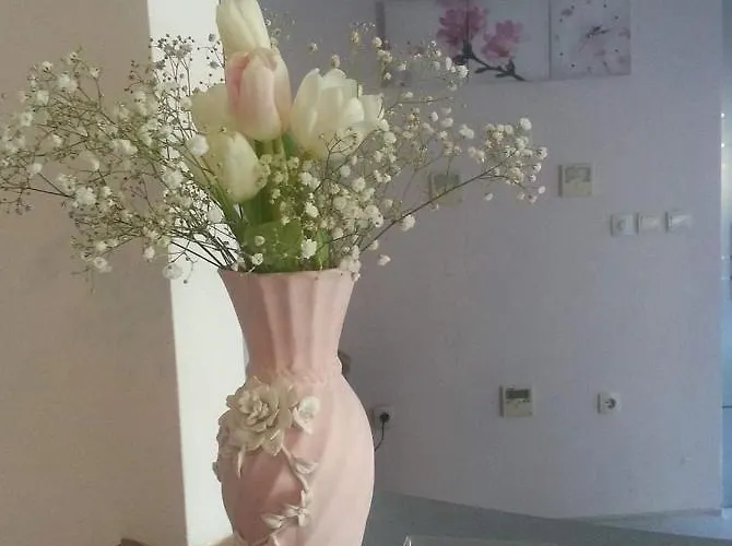 дани Szandanszki