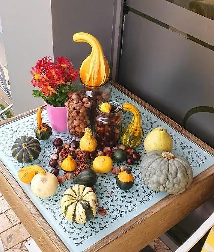 Szálloda дани 3*